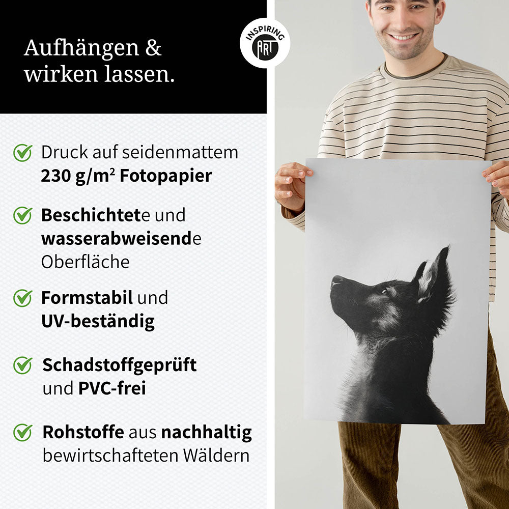 Poster: Tierporträt Hund "Baxter" in Schwarz-Weiß