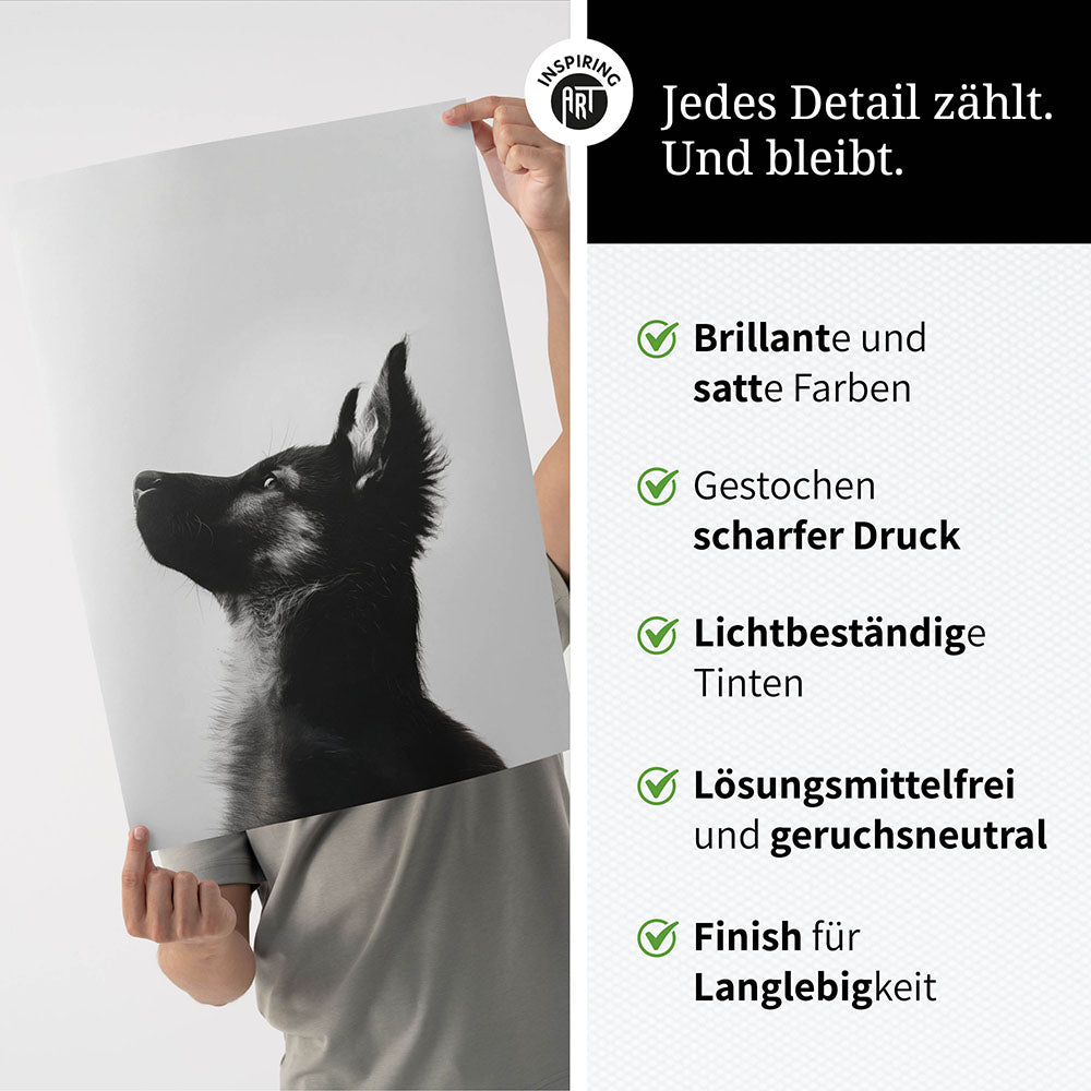 Poster: Tierporträt Hund "Baxter" in Schwarz-Weiß