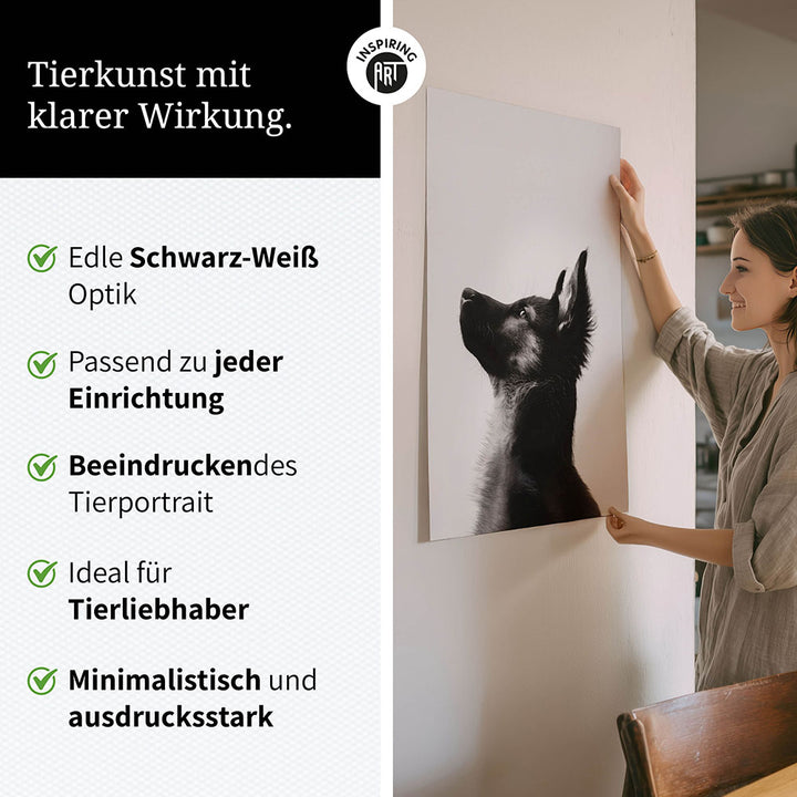 Poster: Tierporträt Hund "Baxter" in Schwarz-Weiß