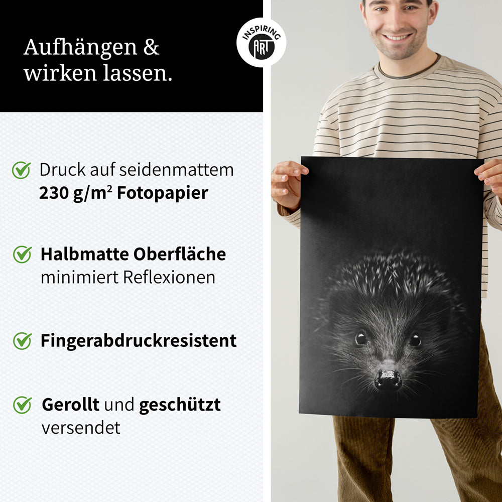 Poster: Tierporträt Igel "Stitch" in Schwarz-Weiß