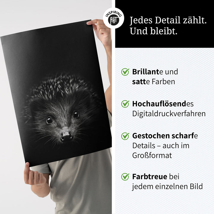 Poster: Tierporträt Igel "Stitch" in Schwarz-Weiß