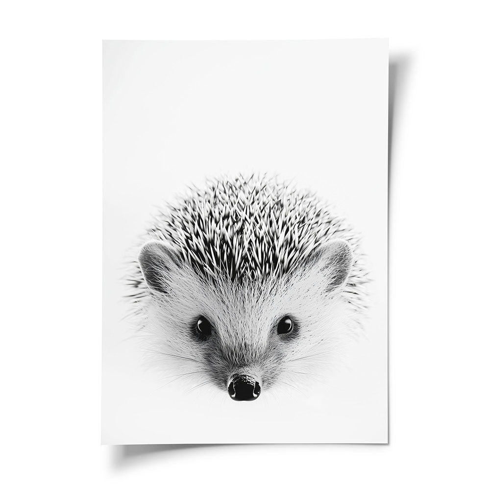 Poster Tierporträt Igel Schwarz Weiß