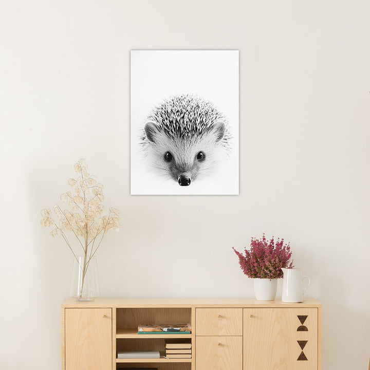 Poster: Tierporträt Igel "Pico" in Schwarz-Weiß