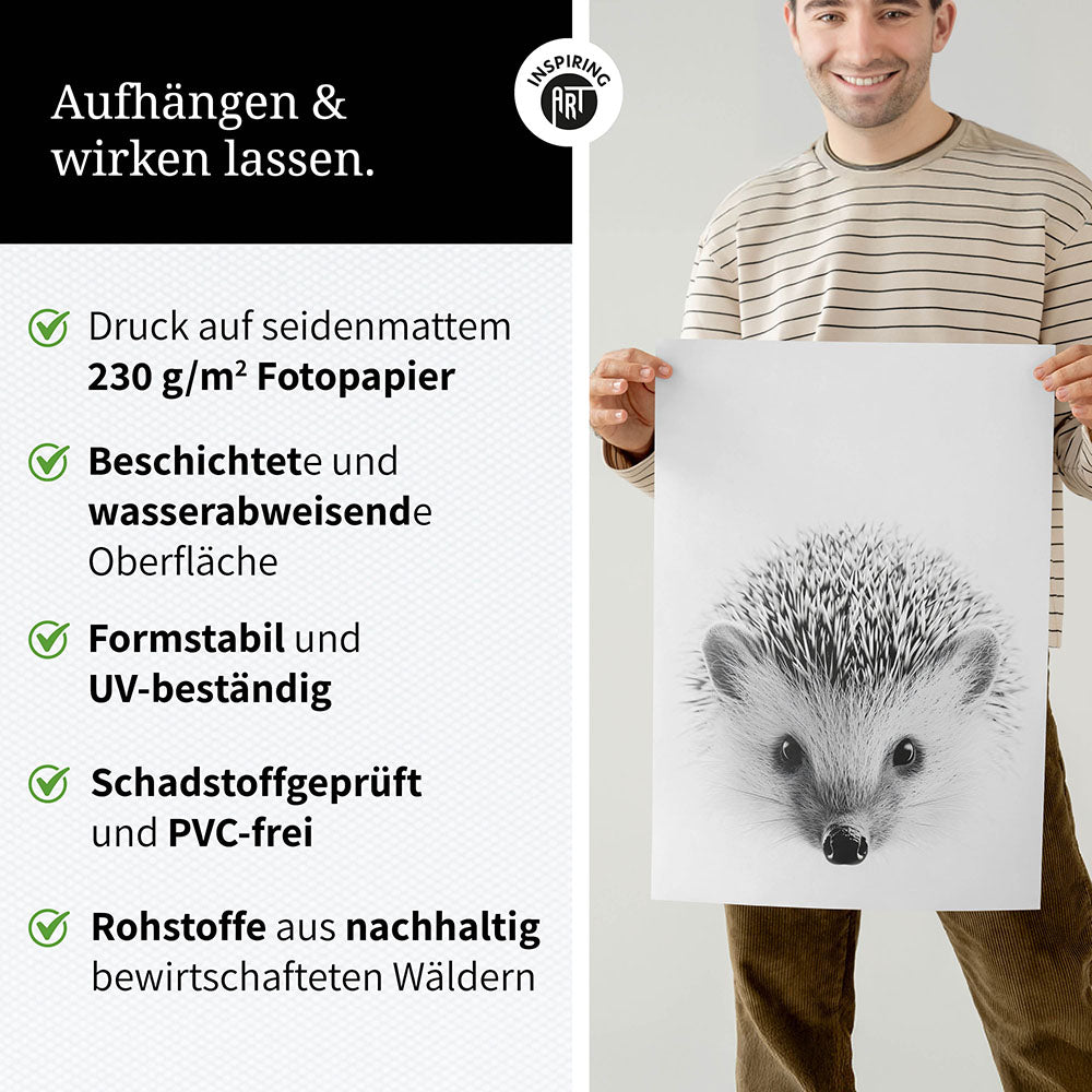 Poster: Tierporträt Igel "Pico" in Schwarz-Weiß