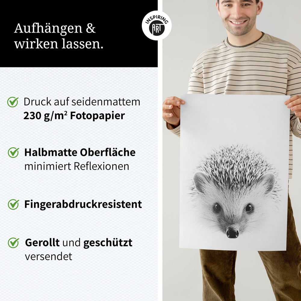 Poster: Tierporträt Igel "Pico" in Schwarz-Weiß