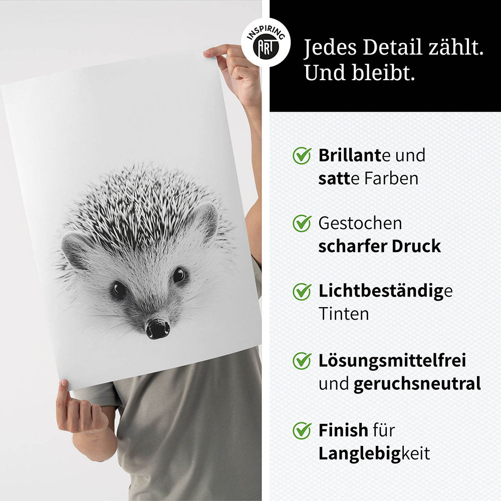 Poster: Tierporträt Igel "Pico" in Schwarz-Weiß
