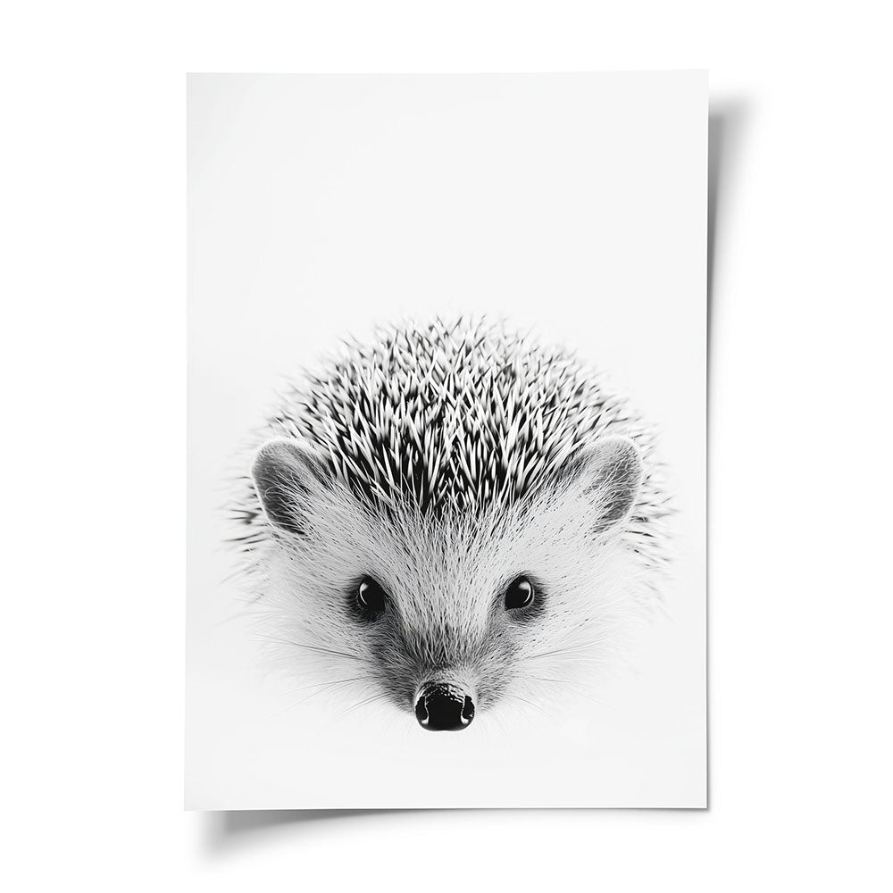 Poster Igel Schwarz Weiß