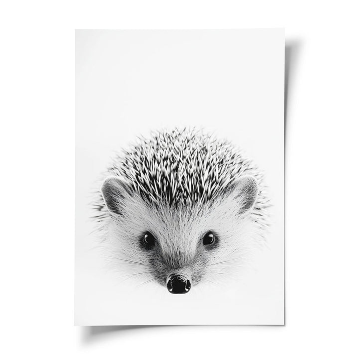 Poster Igel Schwarz Weiß