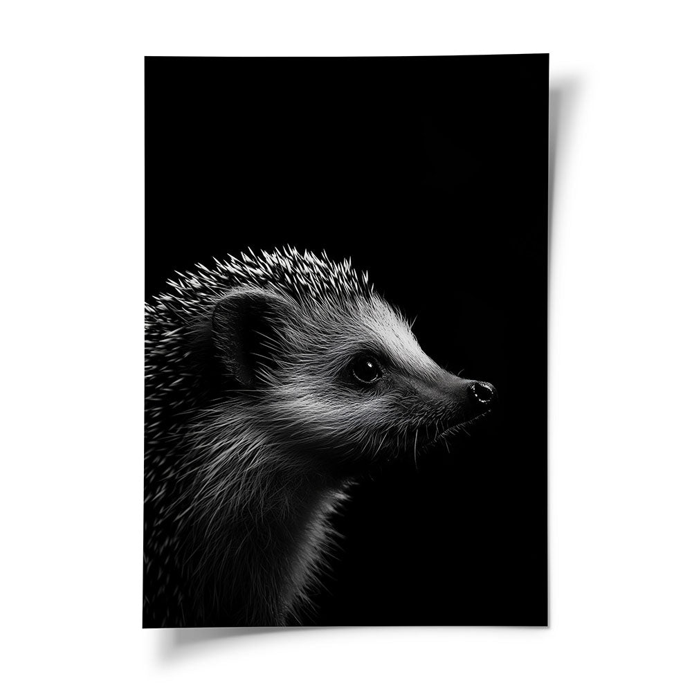 Poster Wandbild  Igel Schwarz Weiß