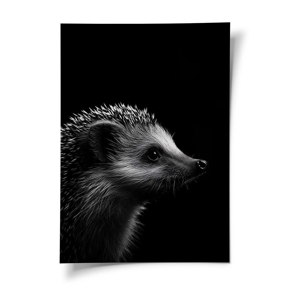 Tierposter Igel Schwarz Weiß