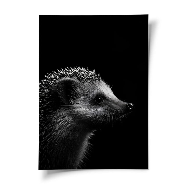 Tierposter Igel Schwarz Weiß