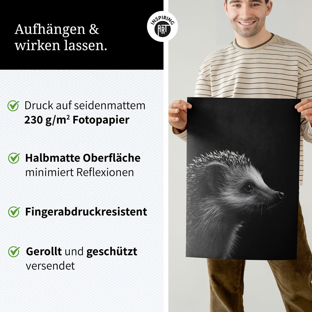 Poster: Tierporträt Igel "Nox" in Schwarz-Weiß