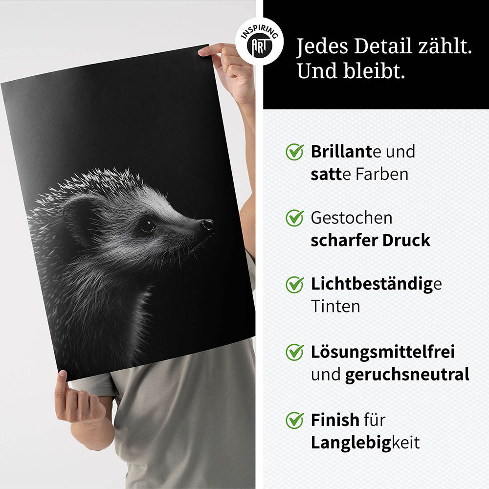 Poster: Tierporträt Igel "Nox" in Schwarz-Weiß
