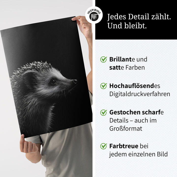 Poster: Tierporträt Igel "Nox" in Schwarz-Weiß