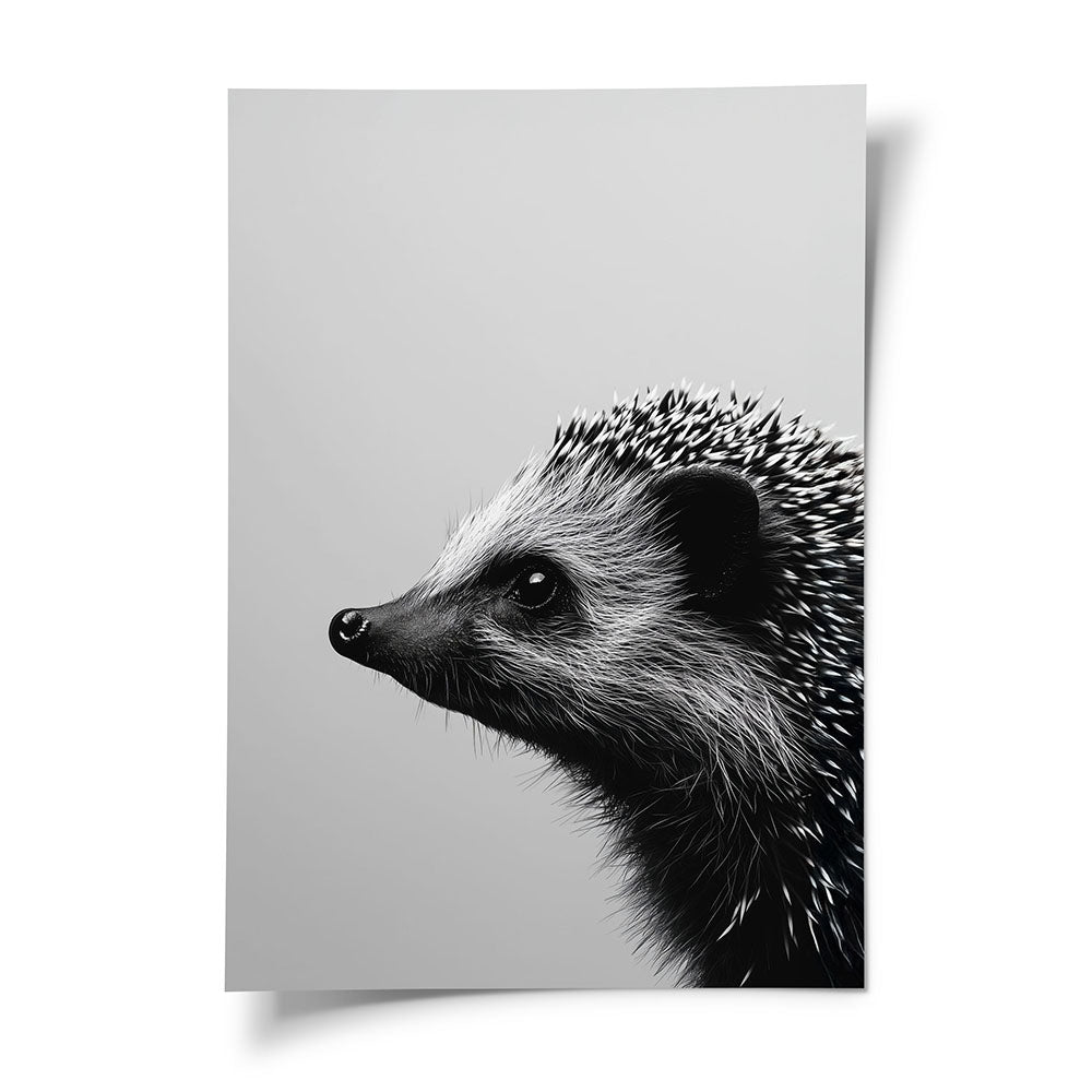 Tierposter Igel Schwarz Weiß