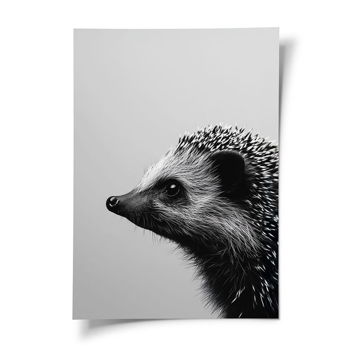 Tierposter Igel Schwarz Weiß