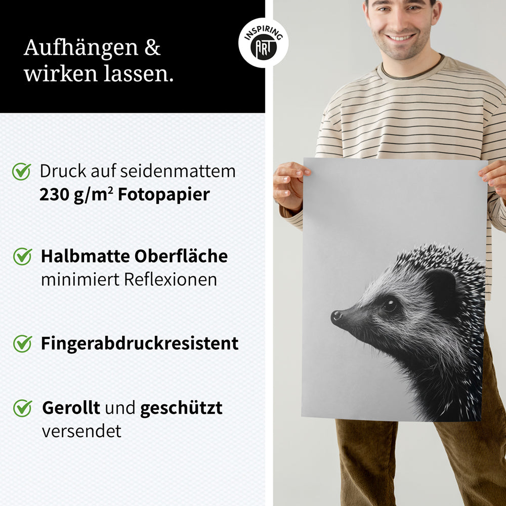 Poster: Tierporträt Igel "Fips" in Schwarz-Weiß