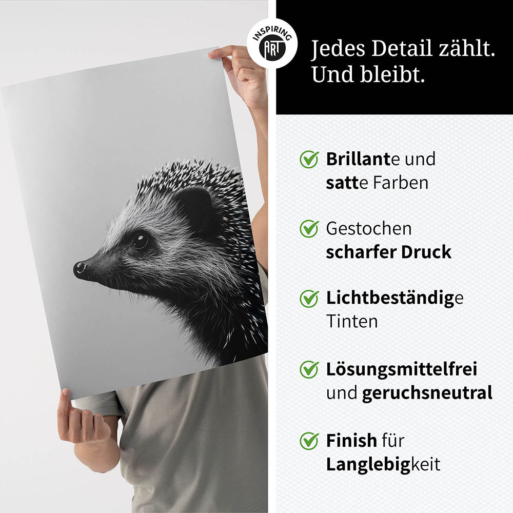 Poster: Tierporträt Igel "Fips" in Schwarz-Weiß