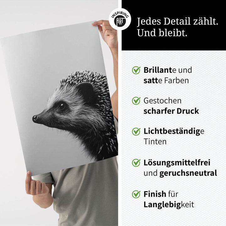 Poster: Tierporträt Igel "Fips" in Schwarz-Weiß