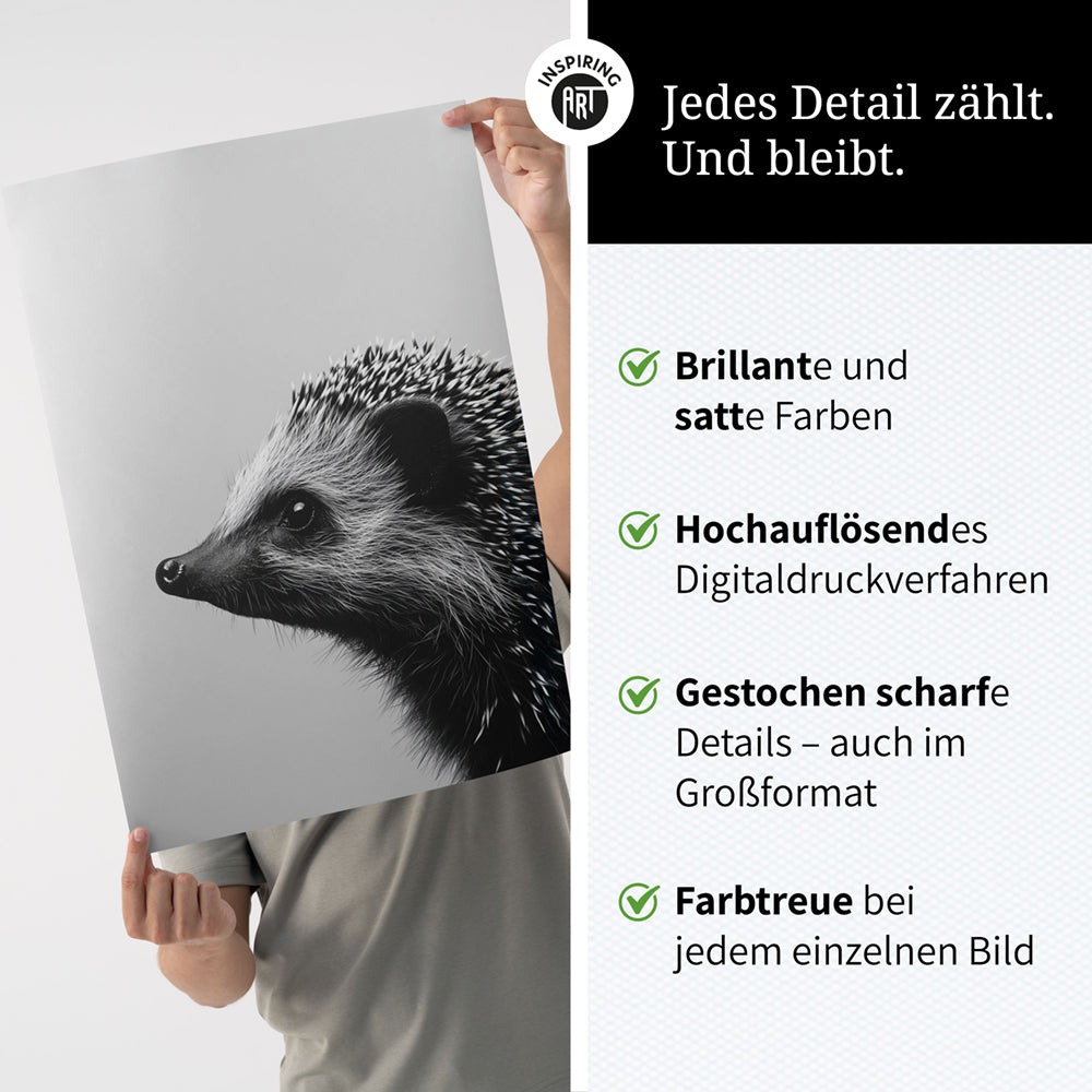 Poster: Tierporträt Igel "Fips" in Schwarz-Weiß