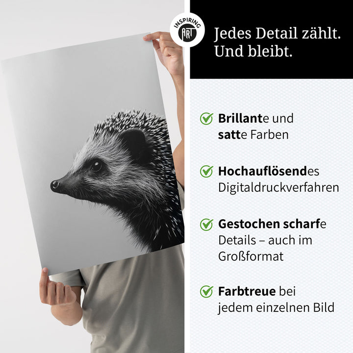 Poster: Tierporträt Igel "Fips" in Schwarz-Weiß