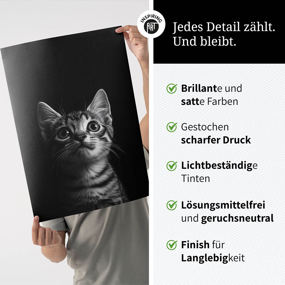 Poster: Tierporträt Katze "Felino" in Schwarz-Weiß