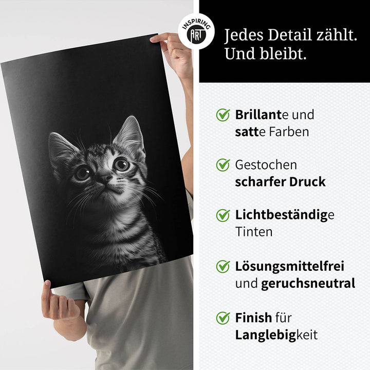 Poster: Tierporträt Katze "Felino" in Schwarz-Weiß