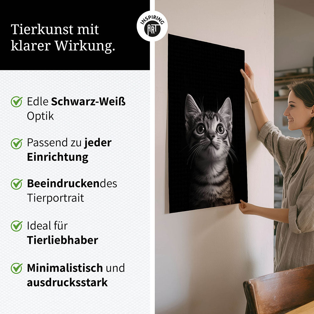 Poster: Tierporträt Katze "Felino" in Schwarz-Weiß