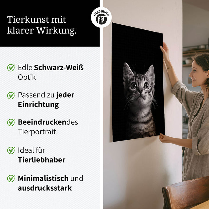 Poster: Tierporträt Katze "Felino" in Schwarz-Weiß