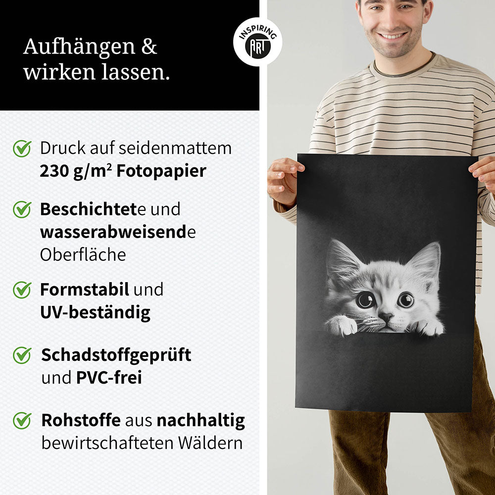 Poster: Tierporträt Katze "Misty" in Schwarz-Weiß