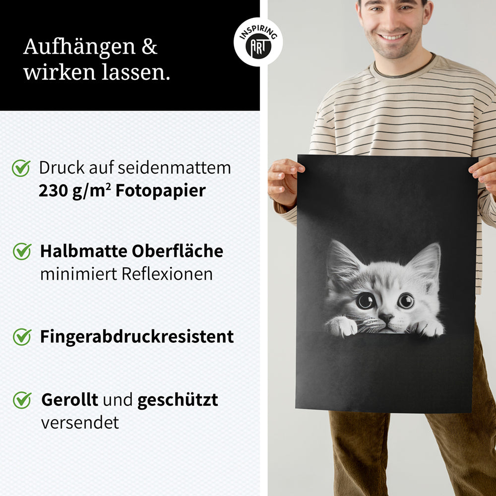 Poster: Tierporträt Katze "Misty" in Schwarz-Weiß