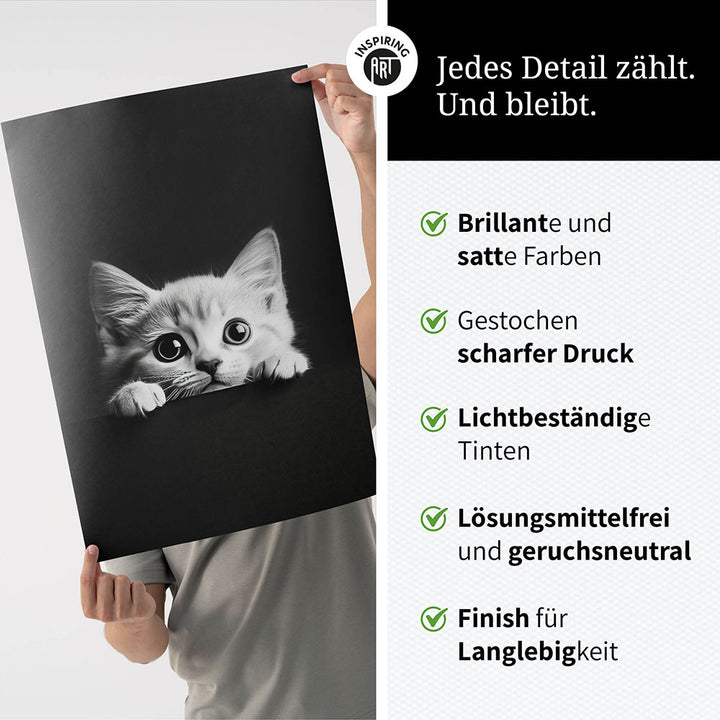 Poster: Tierporträt Katze "Misty" in Schwarz-Weiß