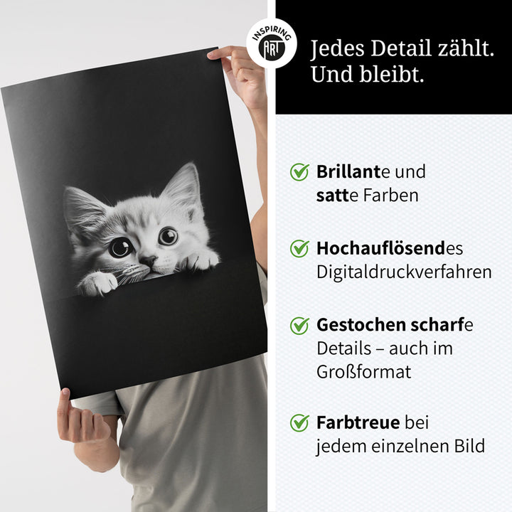 Poster: Tierporträt Katze "Misty" in Schwarz-Weiß
