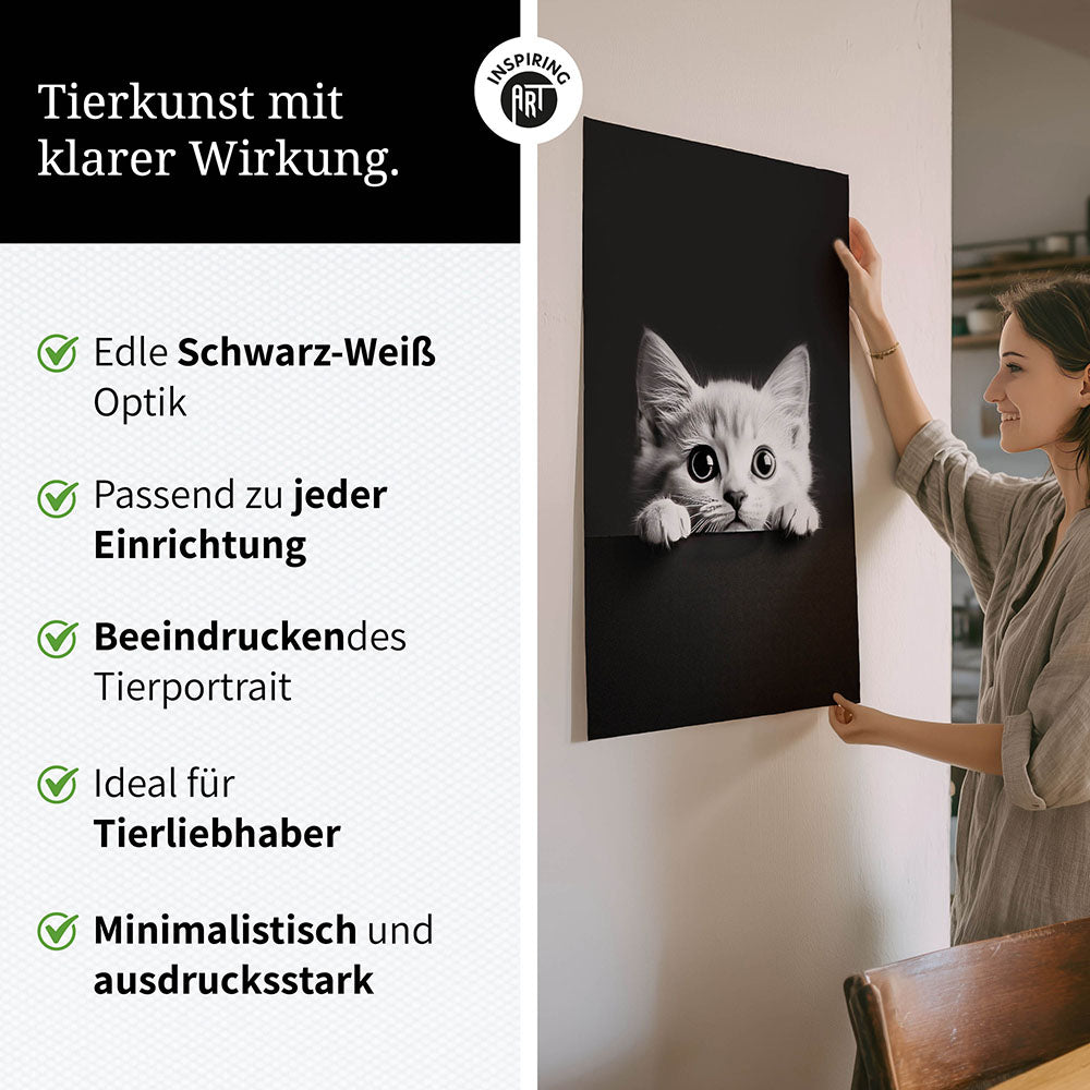 Poster: Tierporträt Katze "Misty" in Schwarz-Weiß