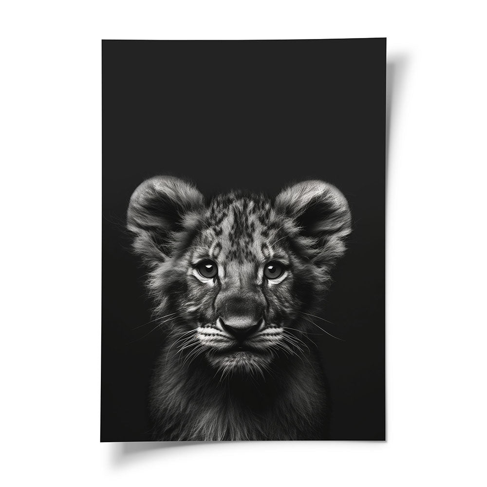 Poster Tierposter  Löwenbaby Schwarz Weiß
