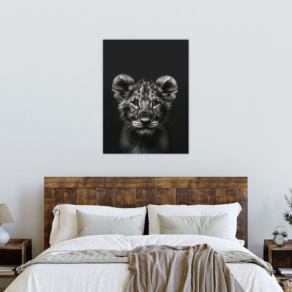 Poster: Tierporträt Löwe "Zaki" in Schwarz-Weiß