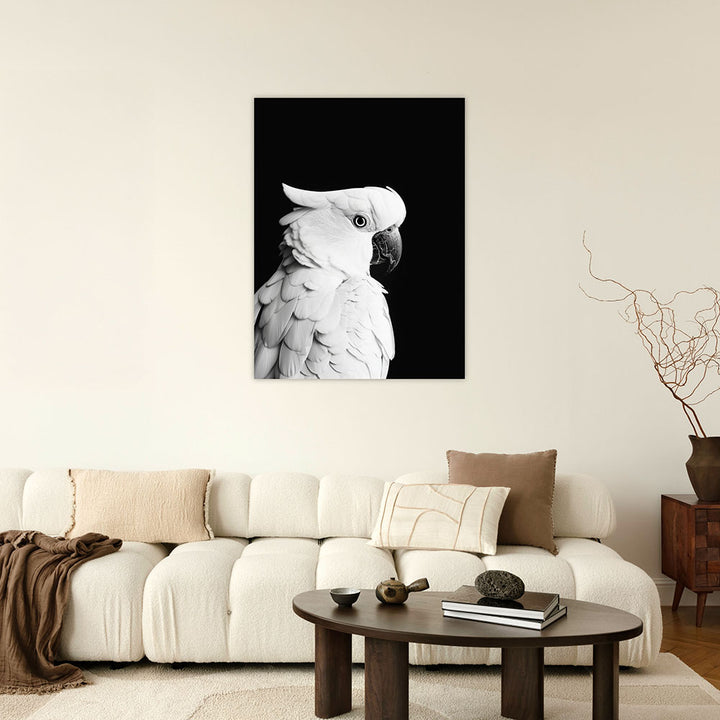 Poster: Tierporträt Papagei "Rio" in Schwarz-Weiß