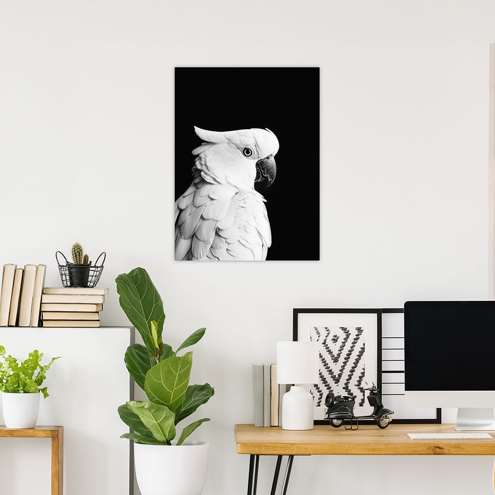 Poster: Tierporträt Papagei "Rio" in Schwarz-Weiß