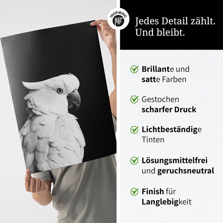 Poster: Tierporträt Papagei "Rio" in Schwarz-Weiß