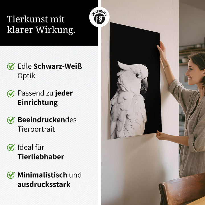 Poster: Tierporträt Papagei "Rio" in Schwarz-Weiß
