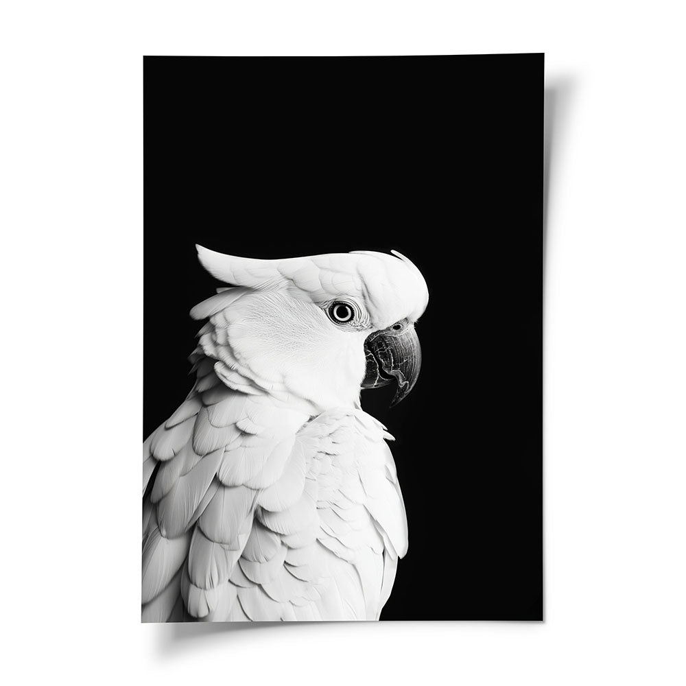Poster Papagei Schwarz Weiß