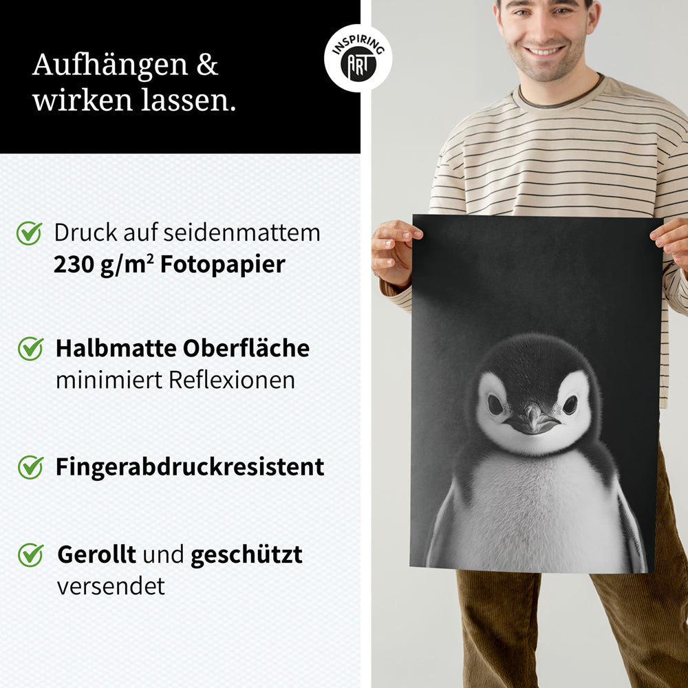 Poster: Tierporträt Pinguin "Icy" in Schwarz-Weiß
