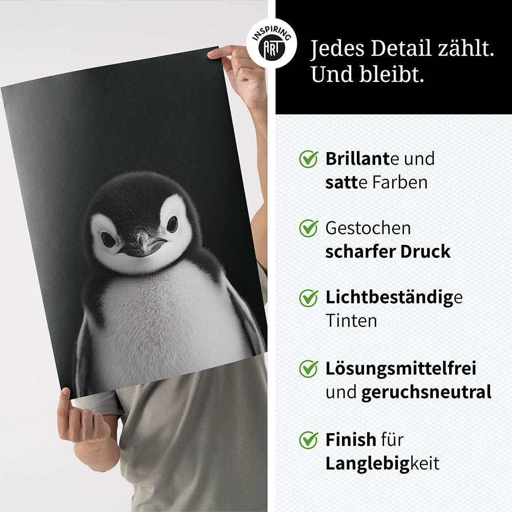 Poster: Tierporträt Pinguin "Icy" in Schwarz-Weiß