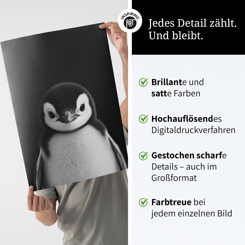 Poster: Tierporträt Pinguin "Icy" in Schwarz-Weiß