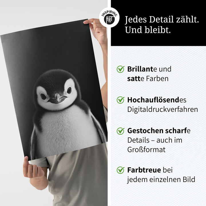 Poster: Tierporträt Pinguin "Icy" in Schwarz-Weiß