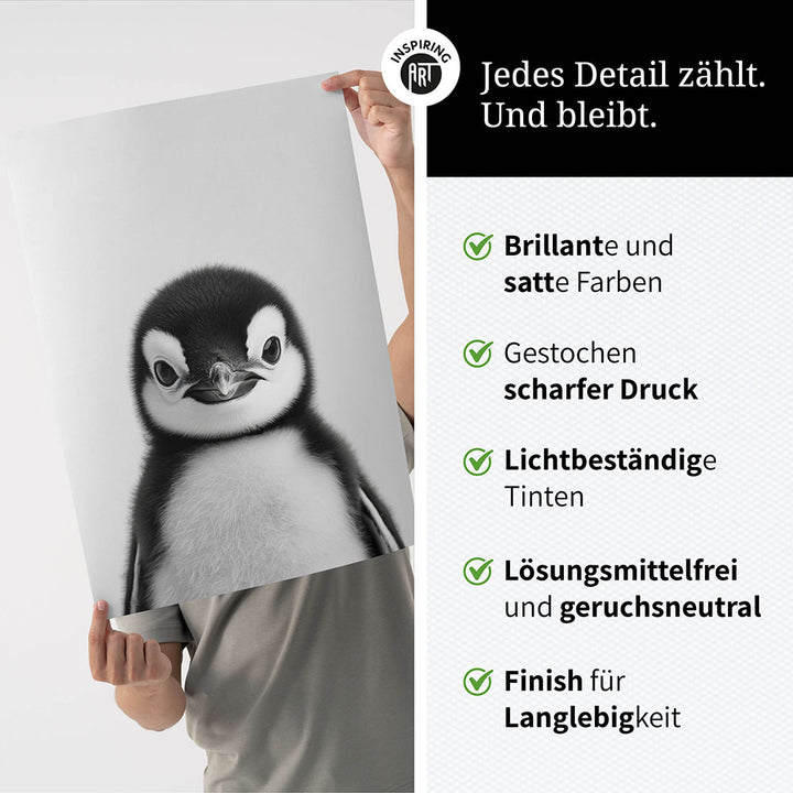 Poster: Tierporträt Pinguin "Flake" in Schwarz-Weiß