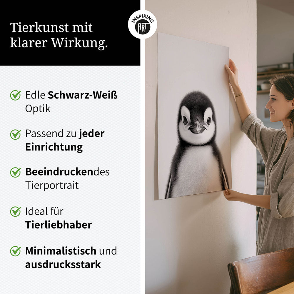 Poster: Tierporträt Pinguin "Flake" in Schwarz-Weiß