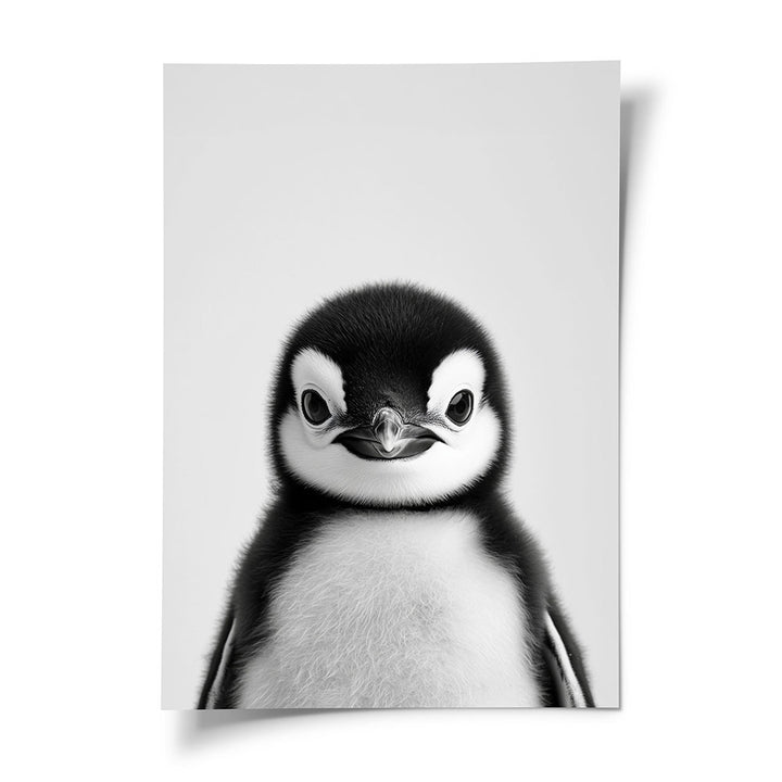 Poster Pinguinbaby Schwarz Weiß