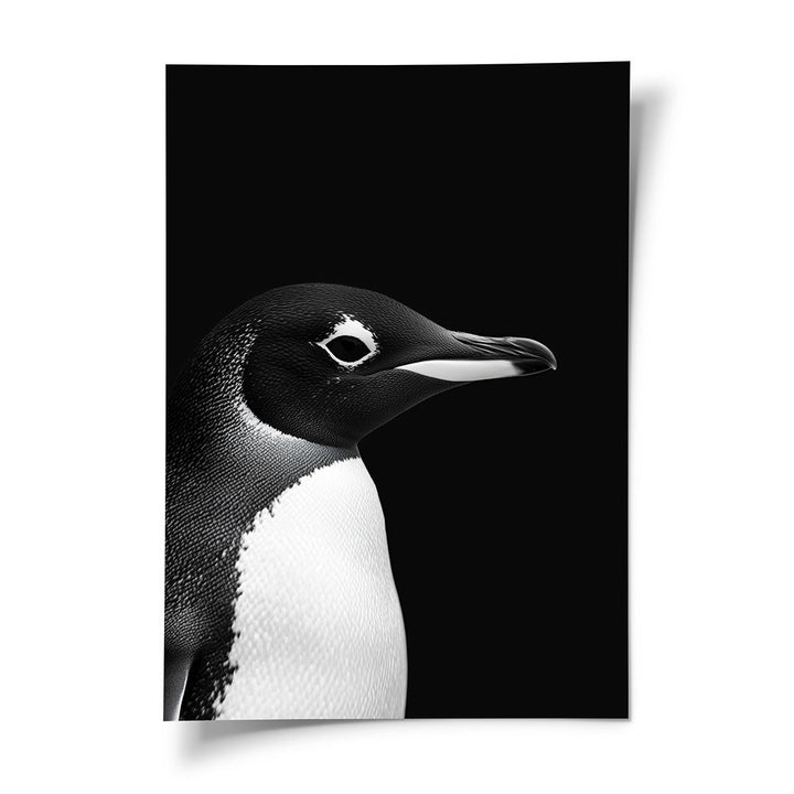 Poster Pinguin Schwarz Weiß