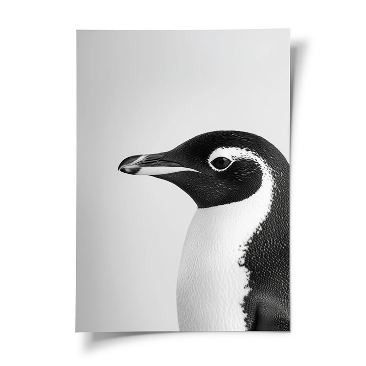 Tierbild Pinguin Schwarz Weiß